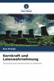 Kernkraft und Laienwahrnehmung