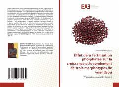 Effet de la fertilisation phosphatée sur la croissance et le rendement de trois morphotypes de voandzou - Clovis, TADOH TCHINDA
