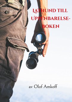 Lathund till Uppenbarelseboken (eBook, ePUB)