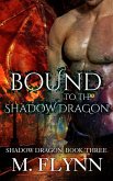Bound to the Shadow Dragon: Shadow Dragon Book 3 (Dragon Shifter Romance) (eBook, ePUB)