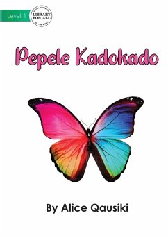 Cover A Colourful Butterfly - Pepele Kadokado