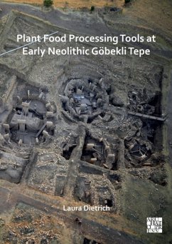 Plant Food Processing Tools at Early Neolithic Gobekli Tepe