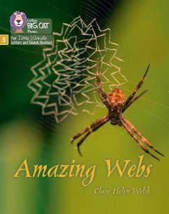 Amazing Webs - Welsh, Clare Helen