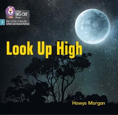 Look Up High - Morgan, Hawys