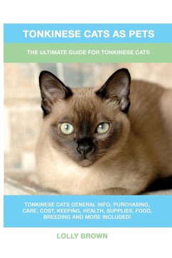 Tonkinese Cats as Pets - Brown, Lolly