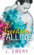 Freedom in Falling - Bild 1