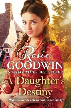 A Daughter's Destiny - Goodwin, Rosie