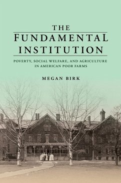 The Fundamental Institution - Birk, Megan