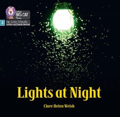Lights at Night - Welsh, Clare Helen