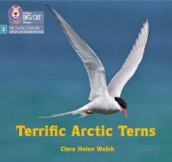 Terrific Arctic Terns - Welsh, Clare Helen