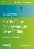 Rice Genome Engineering and Gene Editing