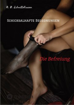 Schicksalhafte Begegnungen (eBook, ePUB) - Schmittdhausen, K. B.