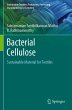 Bacterial Cellulose - Bild 1