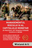 Managementul Riscului ¿i Al Capitalului Monetar (eBook, ePUB)