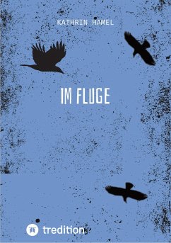 Im Fluge (eBook, ePUB) - Hamel, Kathrin