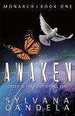 AWAKEN (eBook, ePUB)