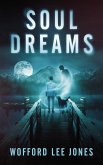 Soul Dreams (eBook, ePUB)