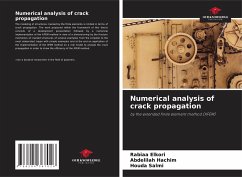 Numerical analysis of crack propagation - Elkori, Rabiaa;Hachim, Abdelilah;Salmi, Houda