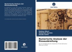 Numerische Analyse der Rissausbreitung - Elkori, Rabiaa;Hachim, Abdelilah;Salmi, Houda