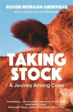Taking Stock (eBook, ePUB) - Morgan-Grenville, Roger