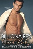 Billionaire's Secret Baby: A Second Chance Romance (Irresistible Brothers, #8) (eBook, ePUB)