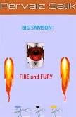 Big Samson: Fire and Fury (eBook, ePUB)