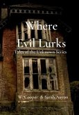 Where Evil Lurks (eBook, ePUB)