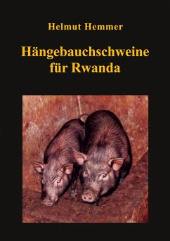 Hängebauchschweine für Rwanda - Hemmer, Helmut