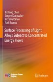 Surface Processing of Light Alloys Subject to Concentrated Energy Flows