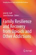 Family Resilience and Recovery from... - Bild 1