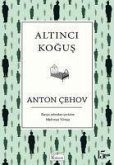 Altinci Kogus Bez Ciltli