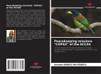 Peacekeeping missions &quote;COPAX&quote; of the ECCAS