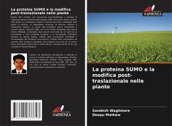 La proteina SUMO e la modifica post-traslazionale nelle piante - Waghmare, Sandesh;Mathew, Deepu