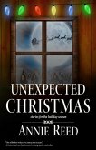 Unexpected Christmas (eBook, ePUB)