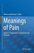 Meanings of Pain - Bild 1