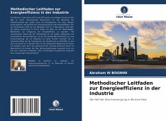 Methodischer Leitfaden zur Energieeffizienz in der Industrie - BOGNINI, Abraham W