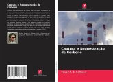 Captura e Sequestração de Carbono Captura e Sequestração de Carbono