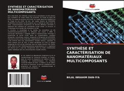 SYNTHÈSE ET CARACTÉRISATION DE NANOMATÉRIAUX MULTICOMPOSANTS - DAN-IYA, BILAL IBRAHIM