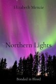 Northern Lights (eBook, ePUB)