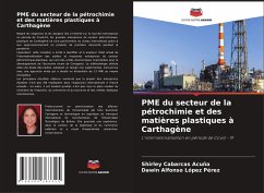 PME du secteur de la pétrochimie et des matières plastiques à Carthagène - Cabarcas Acuña, Shirley;López Pérez, Dawin Alfonso