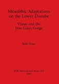 Mesolithic Adaptations on the Lower Danube