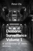 Demonic Surveillance Volume 1 (eBook, ePUB)