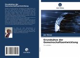 Grundsätze der Gemeinschaftsentwicklung