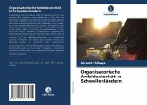 Organisatorische Ambidexterität in Schwellenländern