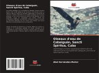 Oiseaux d'eau de Cabaiguán, Sancti Spíritus, Cuba