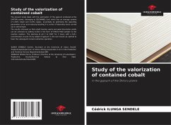 Study of the valorization of contained cobalt - Ilunga Sendele, Cédrick