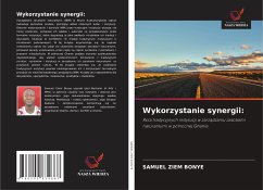 Wykorzystanie synergii: - Bonye, Samuel Ziem