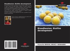 Bioadhesion: Biofilm development - BEKKAL BRIKCI -BENHABIB, Ouassila