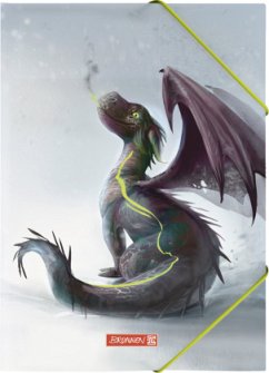 Cover Brunnen Sammelmappe A4 PP Drago