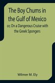 The Boy Chums in the Gulf of Mexico or, On a Dangerous Cruise with the Greek Spongers